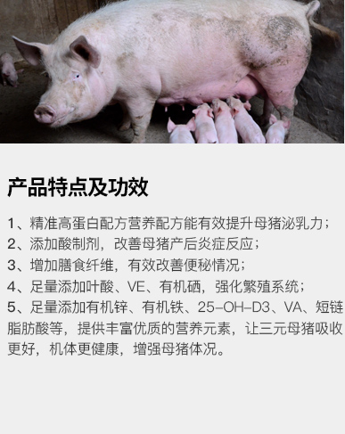 哺乳母猪专用料 浓缩料 8136S/9136S