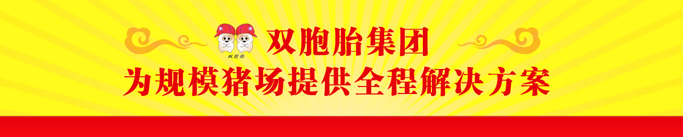 双胞胎集团，为规模猪场提供全程解决方案