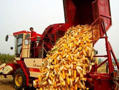 玉米产业：多管齐下方能脱困境