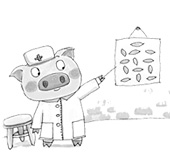 春季养猪疾病介绍与防治