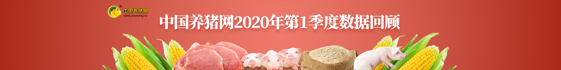 中国养猪网第四季度播报