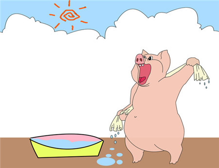 猪流感的综合保健防控措施