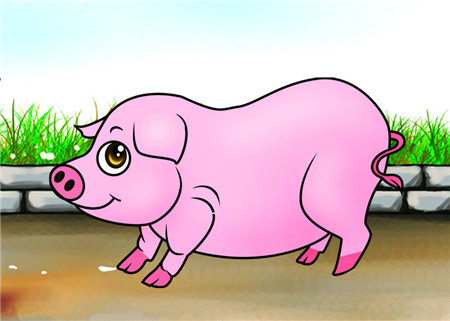 秋季猪疾病的治疗原则